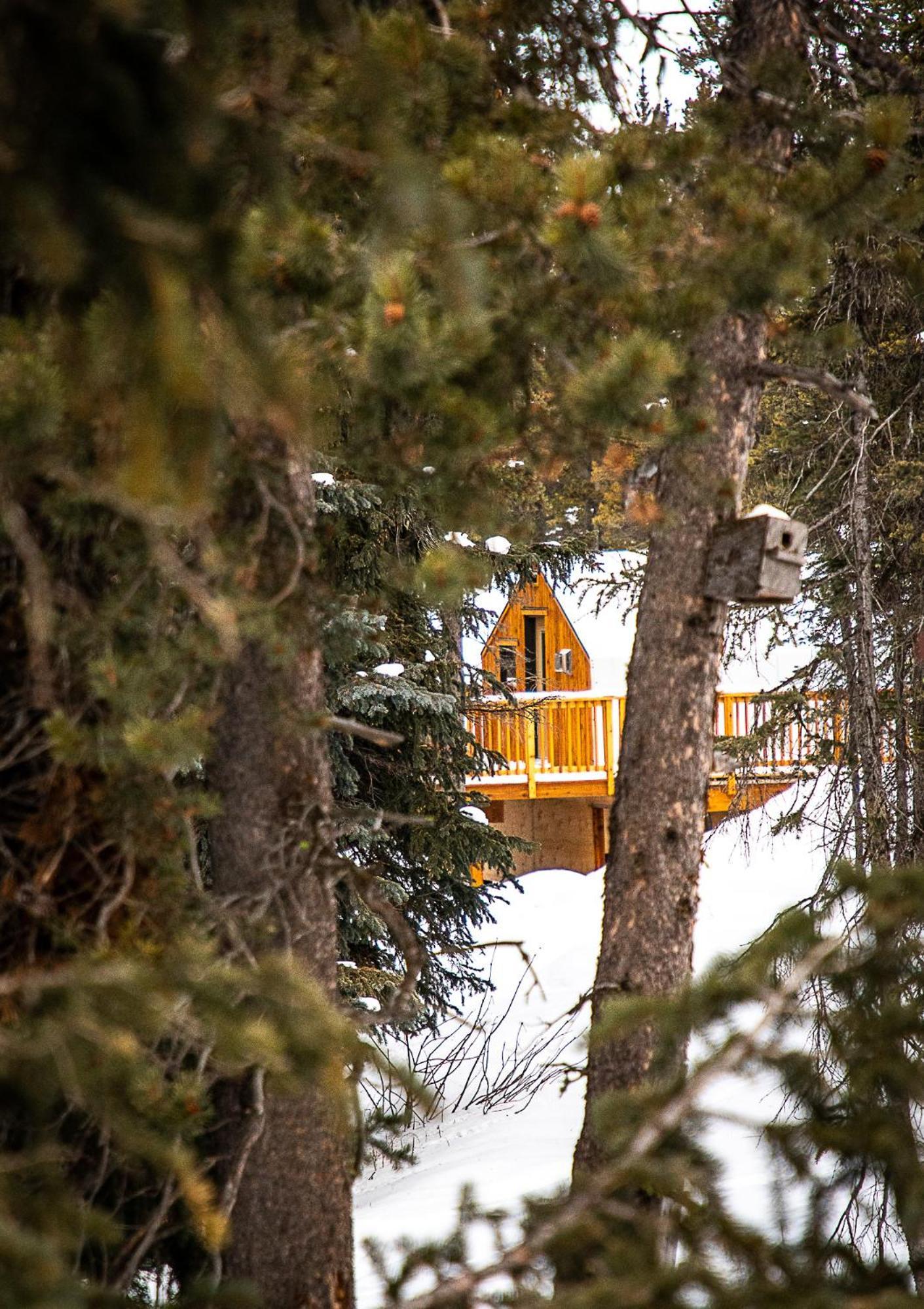 Mount Engadine Lodge Kananaskis Eksteriør bilde